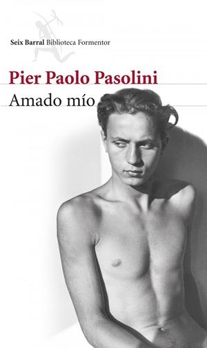 Amado mío | 9788432222870 | Pasolini, Pier Paolo