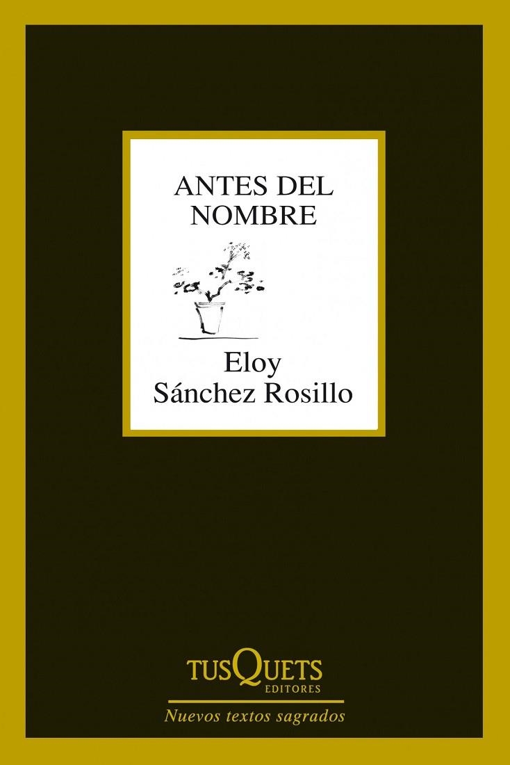 Antes del nombre | 9788483834619 | Sánchez Rosillo, Eloy