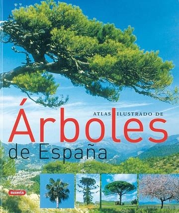 Atlas ilustrado de árboles de España | 9788430558445 | Varios autores