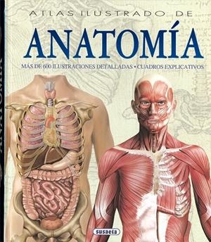 Atlas ilustrado de anatomía | 9788430534784 | Rigutti, Adriana