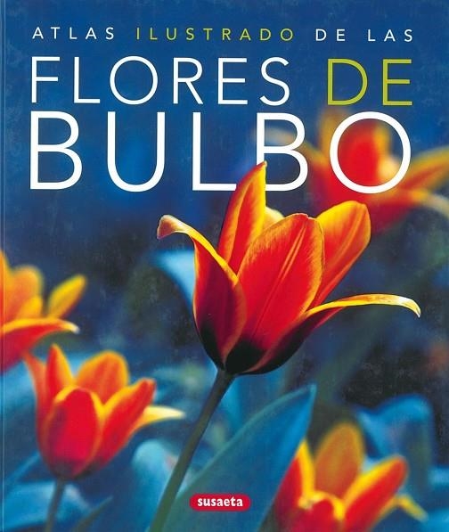 Atlas ilustrado de las flores de bulbo | 9788430570324 | Susaeta, Equipo