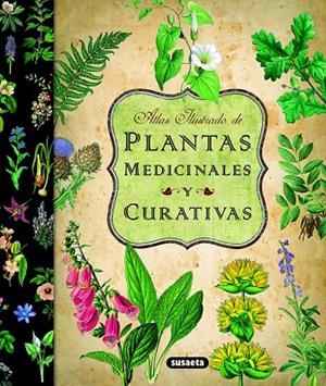 Atlas ilustrado de las plantas medicinales y curativas | 9788467712575 | Susaeta, Equipo