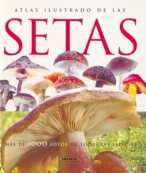 Atlas ilustrado de las setas | 9788430547210 | Lamaison, Jean-Louis;Polese, Jean-Marie