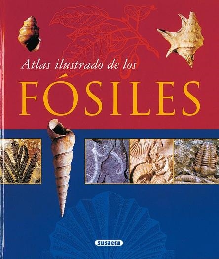 Atlas ilustrado de los Fósiles | 9788430548712 | Varios autores