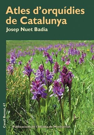 Atles d'orquídies de Catalunya | 9788498832075 | Nuet i Badia, Josep