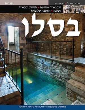 Besalú | 9788484784470 | Puig Castellano, Jordi;Gironell i Gamero, Martí