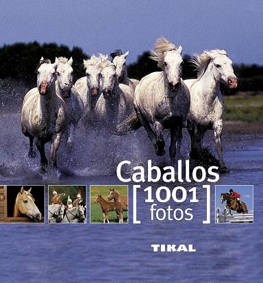 Caballos | 9788499280875 | Rudel, Murielle;Viard, Michel