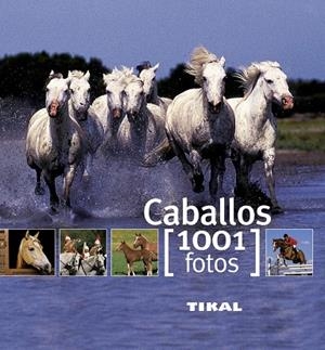 Caballos | 9788499280875 | Rudel, Murielle;Viard, Michel