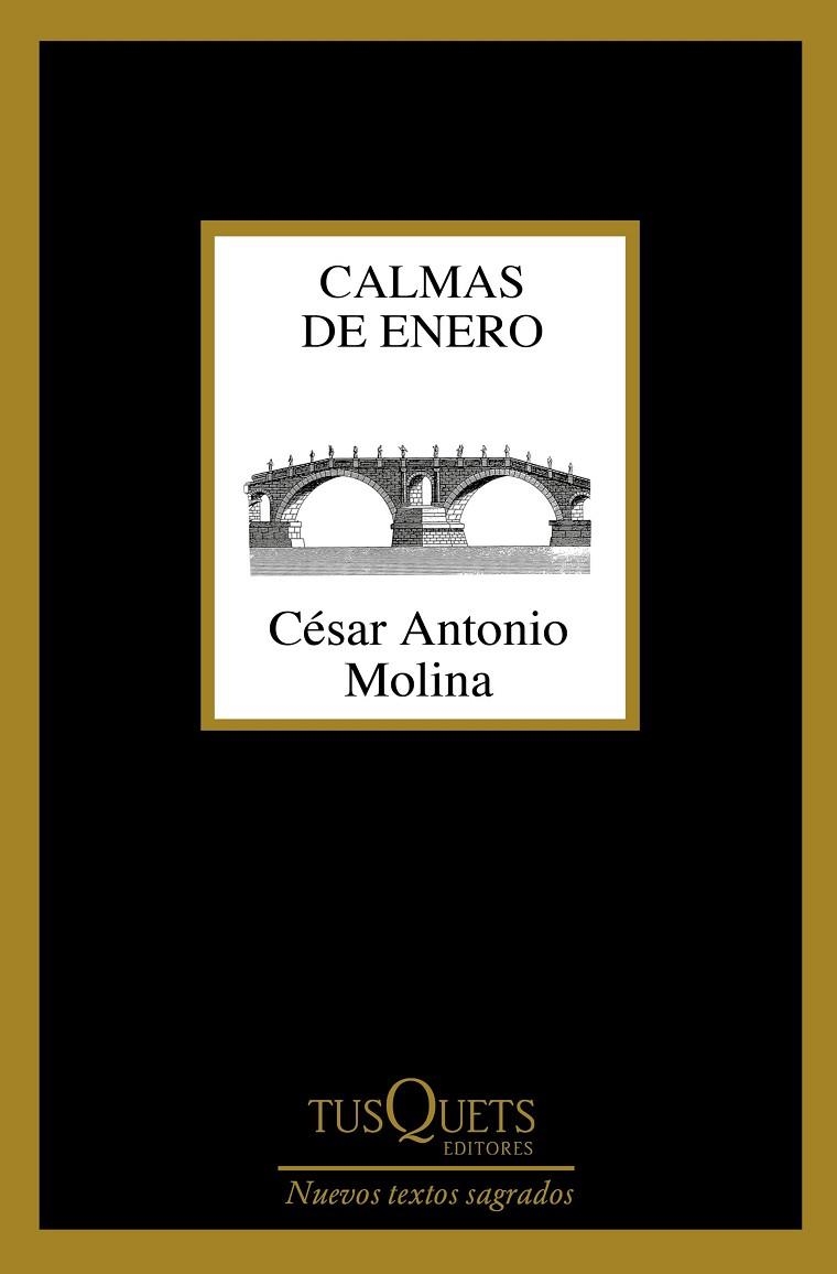 Calmas de enero | 9788490664704 | Molina, César Antonio