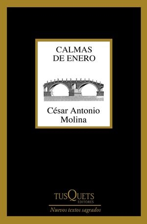 Calmas de enero | 9788490664704 | Molina, César Antonio