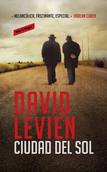 Ciudad del sol | 9788439727385 | David Levien