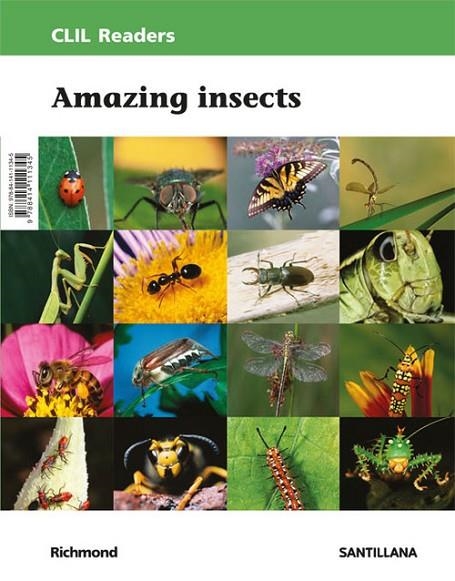 CLIL READERS LEVEL II PRI AMAZING INSECTS | 9788414111345 | Varios autores