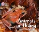 ANIMALS IN HIDING -NON-FICTION-BLUE - BAND 4 | 9780007512850