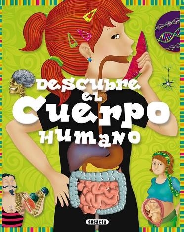 Descubre el cuerpo humano | 9788467719222 | Estayno, Grisel