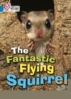 THE FANTASTIC FLYING SQUIRREL | 9780007185832