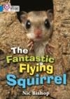 THE FANTASTIC FLYING SQUIRREL -NON-FICTION-BLUE - BAND 4 | 9780007185832