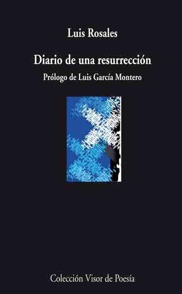 Diario de una resurrección | 9788498957440 | Rosales, Luis