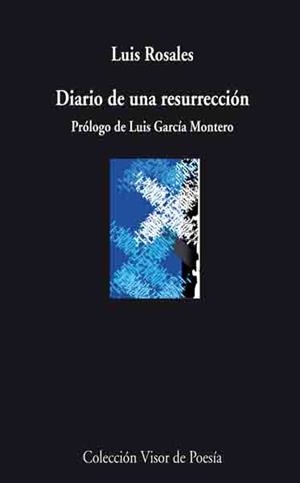 Diario de una resurrección | 9788498957440 | Rosales, Luis