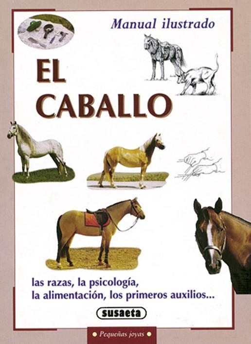 El caballo | 9788430597437 | Zorzan, Cinzia