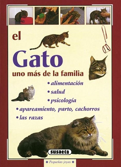 El gato | 9788430597420 | Susaeta, Equipo