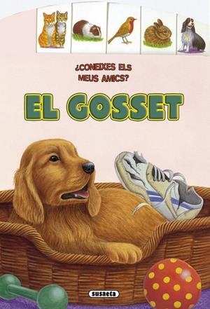 El gosset | 9788467705904 | Haderlein, Ute