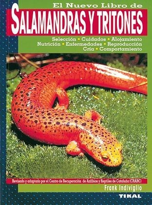El nuevo libro de Salamandras y Tritones | 9788430597888 | Indiviglio, Frank