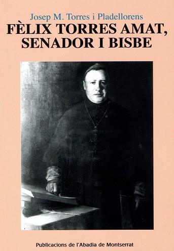 Fèlix Torres Amat, senador i bisbe | 9788478264940 | Torres i Pladellorens, Josep M.