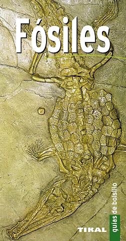 Fósiles | 9788499281100 | Varios autores