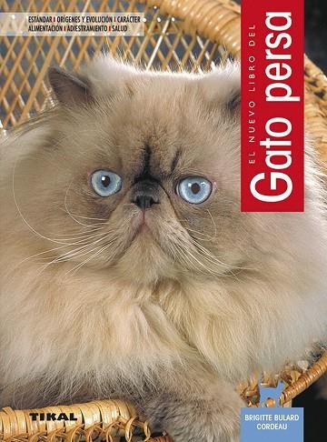 Gato persa | 9788430547562 | Bulard Cordeau, Brigitte