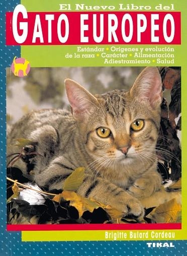Gato europeo | 9788430548224 | Bulard Cordeau, Brigitte