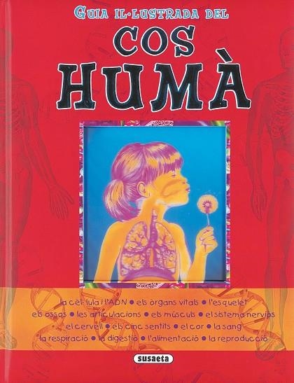 Guia il-lustrada del cos humà | 9788430560967 | Susaeta, Equipo