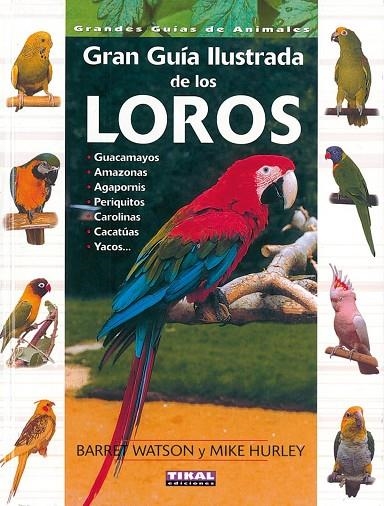 Guía ilustrada de los loros | 9788430536900 | Watson, Barret;Hurley, Mike