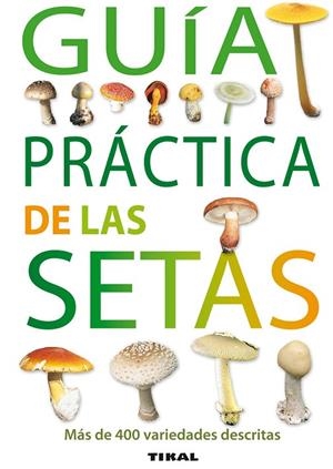 Guía práctica de las setas | 9788492678167 | Massart, Francis