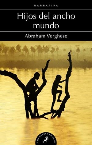 Hijos del ancho mundo | 9788498383768 | Verghese, Abraham
