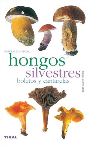 Hongos silvestres. Boletos y cantarelas | 9788430553365 | Polese, Jean-Marie