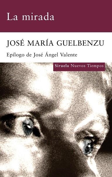 La mirada | 9788498413977 | Guelbenzu, José María