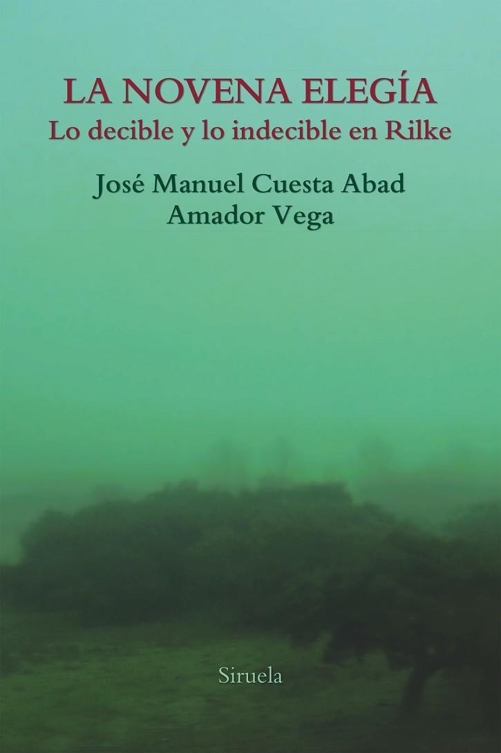 La novena elegía | 9788417151997 | Vega Esquerra, Amador;Cuesta Abad, José Manuel
