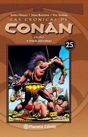 Las crónicas de Conan nº 25/34 | 9788468479859 | Owsley, Jim;Semeiks, Val;Buscema, John