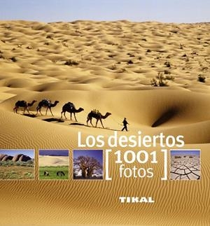 Los desiertos | 9788499281308 | Lemoine, Claire