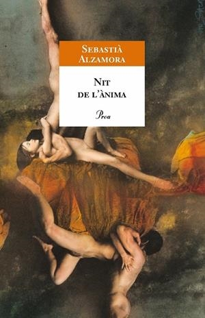 Nit de l'ànima | 9788484370321 | Alzamora, Sebastià