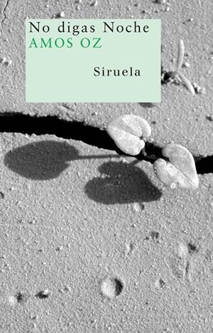 No digas Noche | 9788498411423 | Oz, Amos