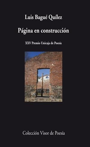Páginas en construcción | 9788498957778 | Bagué, Luis