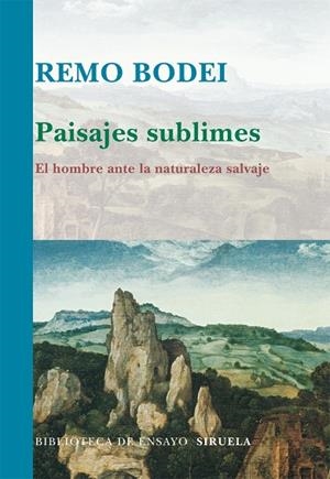 Paisajes sublimes | 9788498414080 | Bodei, Remo