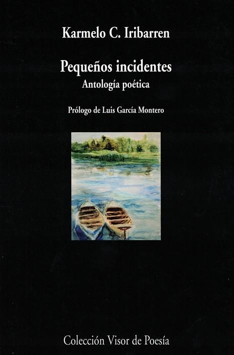 Pequeños incidentes. Antología poética | 9788498959789 | Iribarren, Carmelo C.