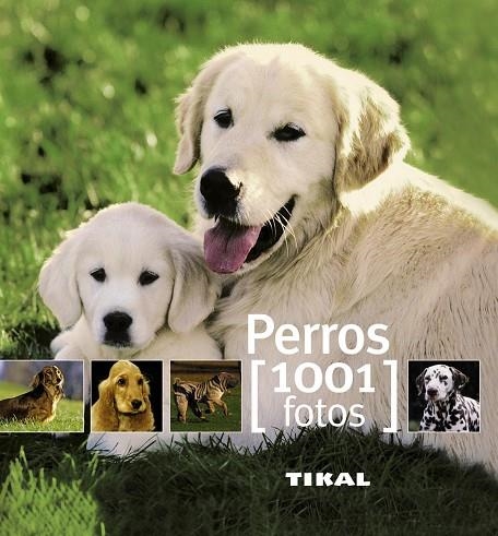 Perros | 9788499280851 | Huart, Françoise;Roy, Ségolène