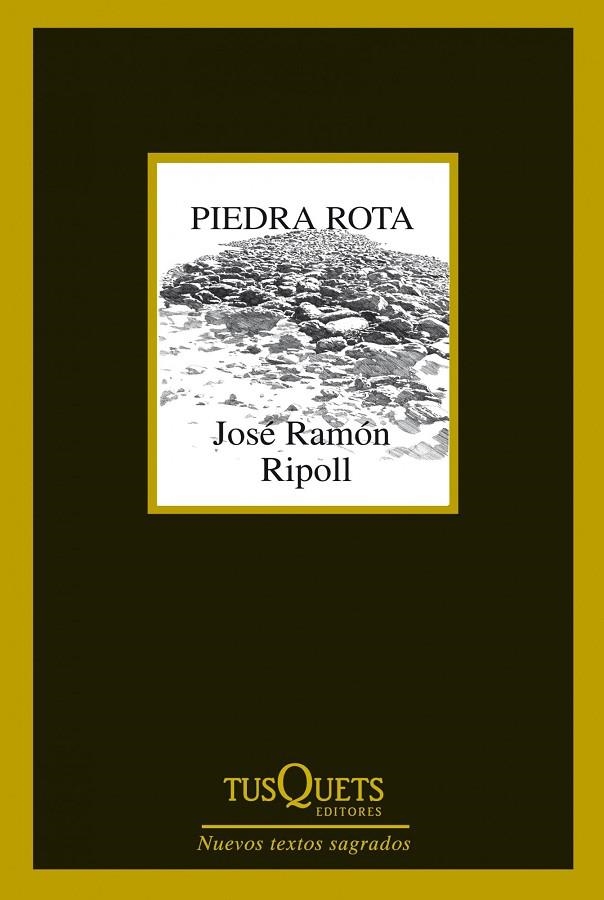 Piedra rota | 9788483834787 | Ripoll, José Ramón