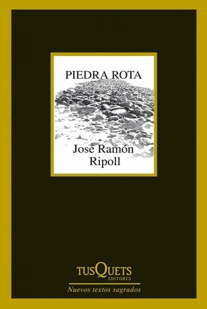 Piedra rota | 9788483834787 | Ripoll, José Ramón