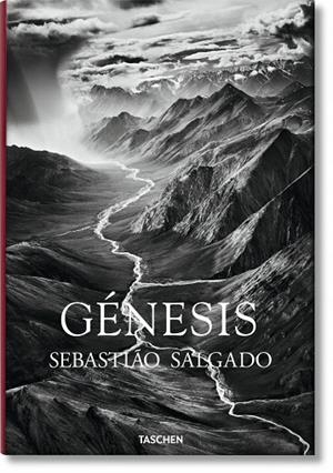 Salgado, Genesis | 9783836542609 | Leila Wanick Salgado