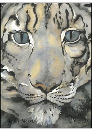 Ulls de Neu | 9788492595266 | Morris, Jackie