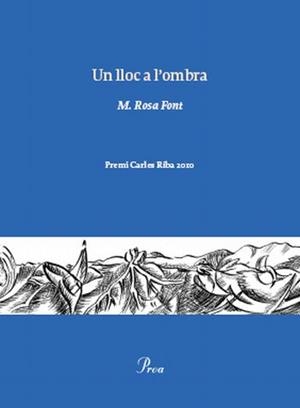 Un lloc a l'ombra | 9788475882222 | Font Massot, Rosa Maria